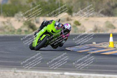 media/Mar-09-2024-SoCal Trackdays (Sat) [[bef1deb9bf]]/9-Turn 6 (2pm)/